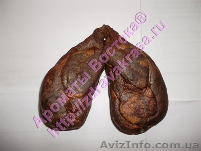 Бобровая струя бобра настойка бобровой струи - <ro>Изображение</ro><ru>Изображение</ru> #1, <ru>Объявление</ru> #1634286