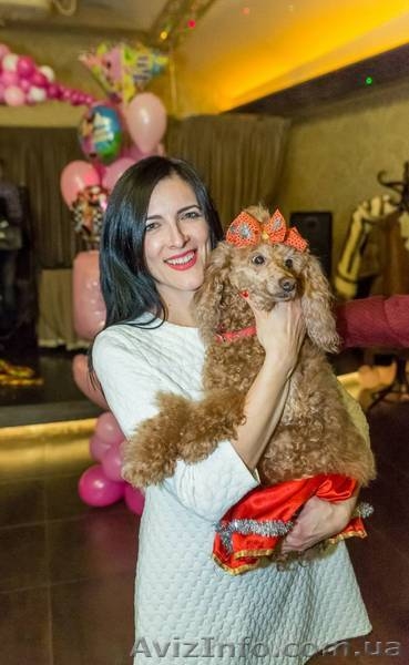 Проведение и организация детских праздников Киев - <ro>Изображение</ro><ru>Изображение</ru> #4, <ru>Объявление</ru> #1637894