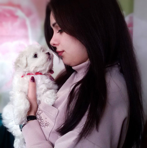 Предлагаются щенки мальтезе для дома и любви - <ro>Изображение</ro><ru>Изображение</ru> #4, <ru>Объявление</ru> #1648171