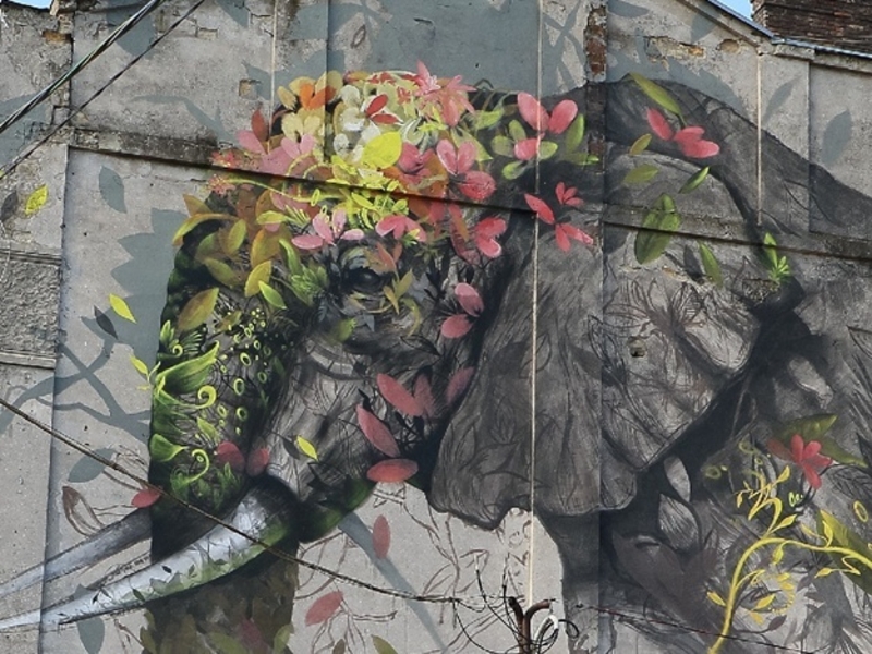 Художественная роспись стен. Квартиры, дома, клубы, офисы и др. - <ro>Изображение</ro><ru>Изображение</ru> #8, <ru>Объявление</ru> #1649947