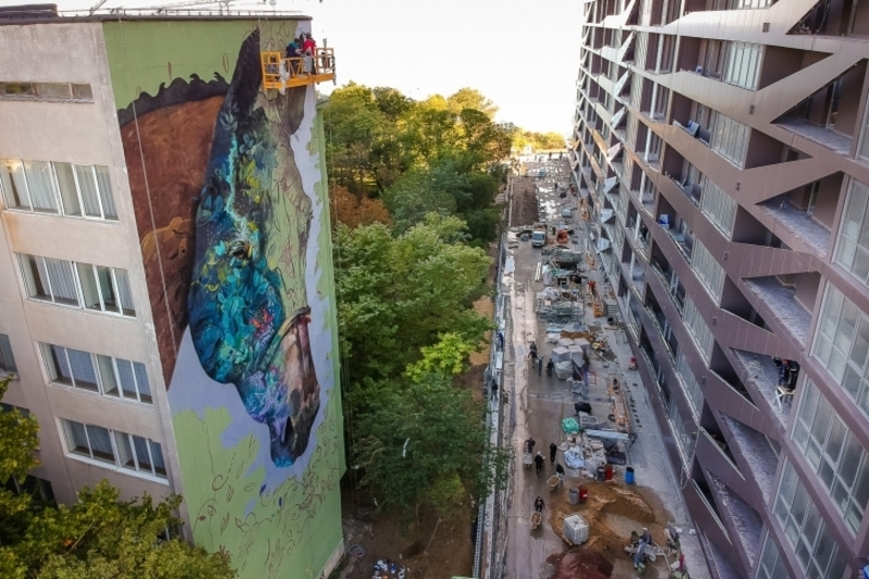 Художественная роспись стен. Квартиры, дома, клубы, офисы и др. - <ro>Изображение</ro><ru>Изображение</ru> #4, <ru>Объявление</ru> #1649947