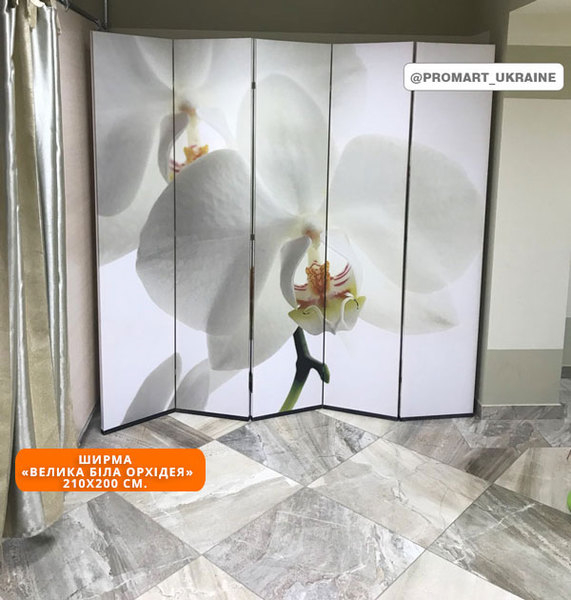 Ширма/перегородка с печатью на холсте. - <ro>Изображение</ro><ru>Изображение</ru> #5, <ru>Объявление</ru> #1653551