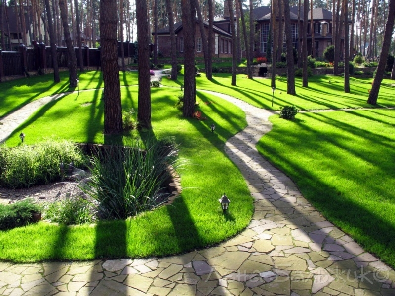 Газон Киев. Создание газона - <ro>Изображение</ro><ru>Изображение</ru> #1, <ru>Объявление</ru> #1651766