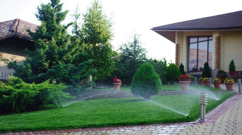 Газон Киев. Создание газона - <ro>Изображение</ro><ru>Изображение</ru> #2, <ru>Объявление</ru> #1651766