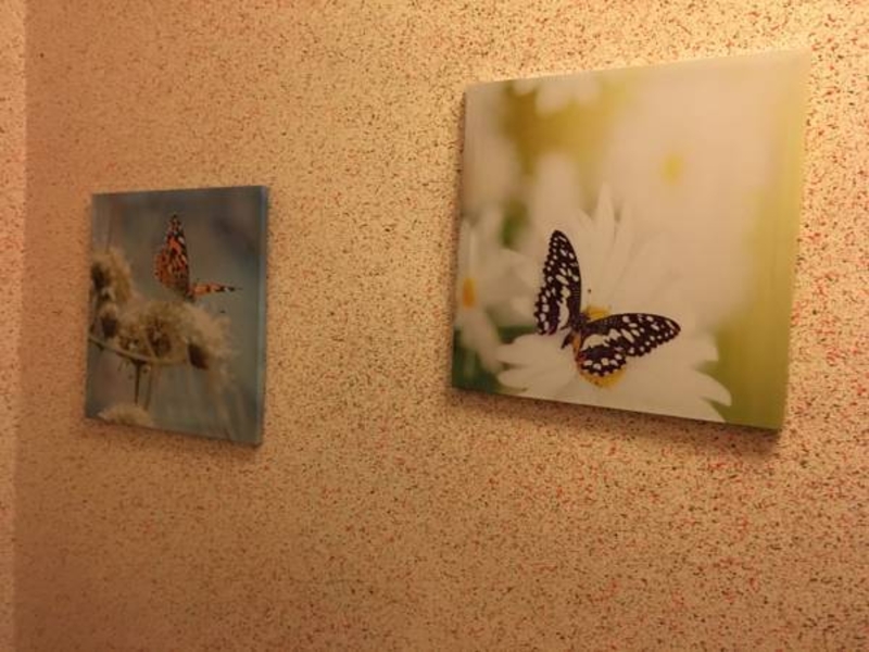 Койко-место Хостел М. Голосеевская Общежитие Киев дешево - <ro>Изображение</ro><ru>Изображение</ru> #3, <ru>Объявление</ru> #1655749