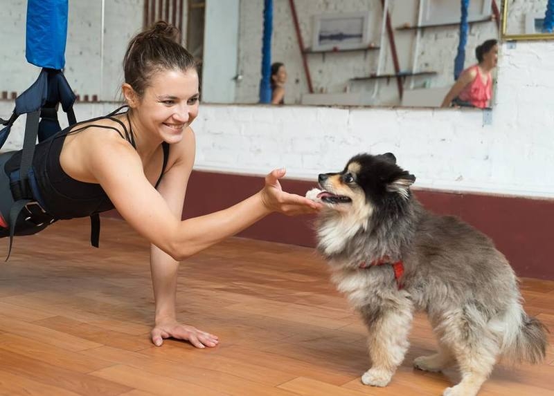 ФлайФит (Bungee) = фитнес, полет и развлечение! Три в одном — Киев, Оболонь - <ro>Изображение</ro><ru>Изображение</ru> #3, <ru>Объявление</ru> #1655460