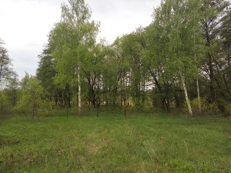 Будинок + 32 сотки землі біля Swisstown - <ro>Изображение</ro><ru>Изображение</ru> #2, <ru>Объявление</ru> #1655797