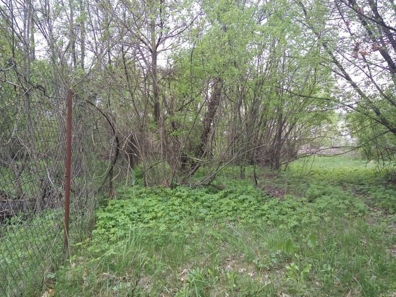 Будинок + 32 сотки землі біля Swisstown - <ro>Изображение</ro><ru>Изображение</ru> #6, <ru>Объявление</ru> #1655797