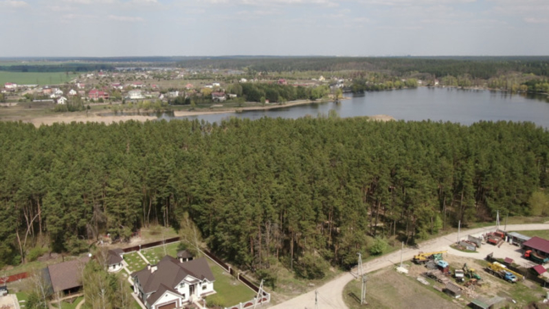 Продается участок 30 соток в Киевской области - <ro>Изображение</ro><ru>Изображение</ru> #3, <ru>Объявление</ru> #1654662