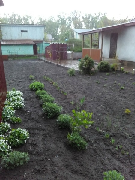 Терміново продається будинок в смт.Бородянка - <ro>Изображение</ro><ru>Изображение</ru> #5, <ru>Объявление</ru> #1655677