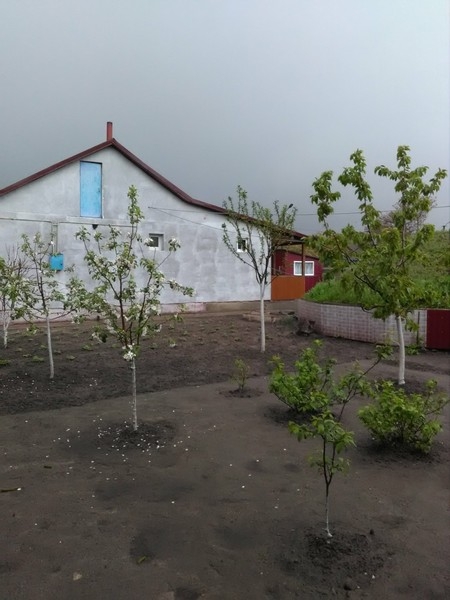 Терміново продається будинок в смт.Бородянка - <ro>Изображение</ro><ru>Изображение</ru> #8, <ru>Объявление</ru> #1655677