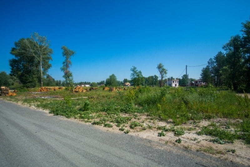 КГ «Синевир» Специальное предложение! - <ro>Изображение</ro><ru>Изображение</ru> #2, <ru>Объявление</ru> #1660078