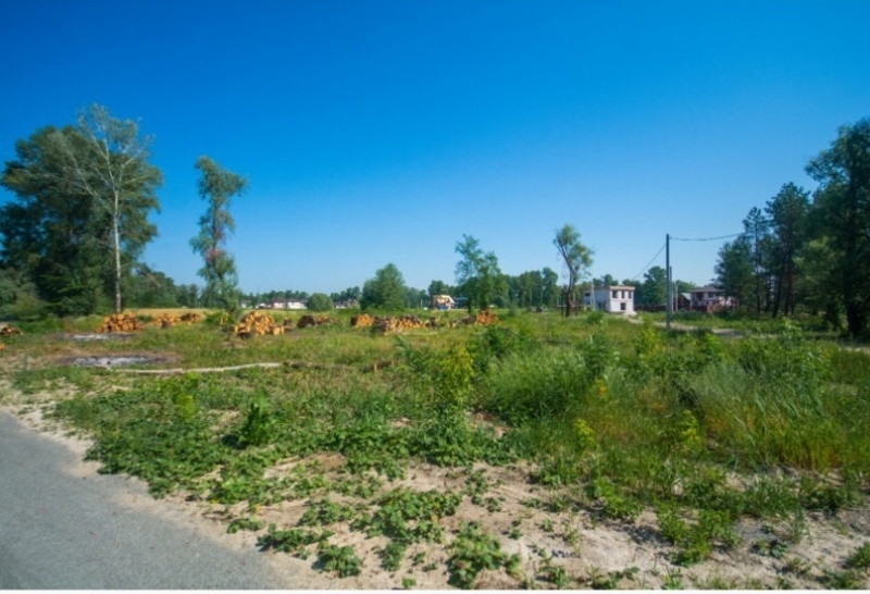 КГ «Синевир» Специальное предложение! - <ro>Изображение</ro><ru>Изображение</ru> #3, <ru>Объявление</ru> #1660078