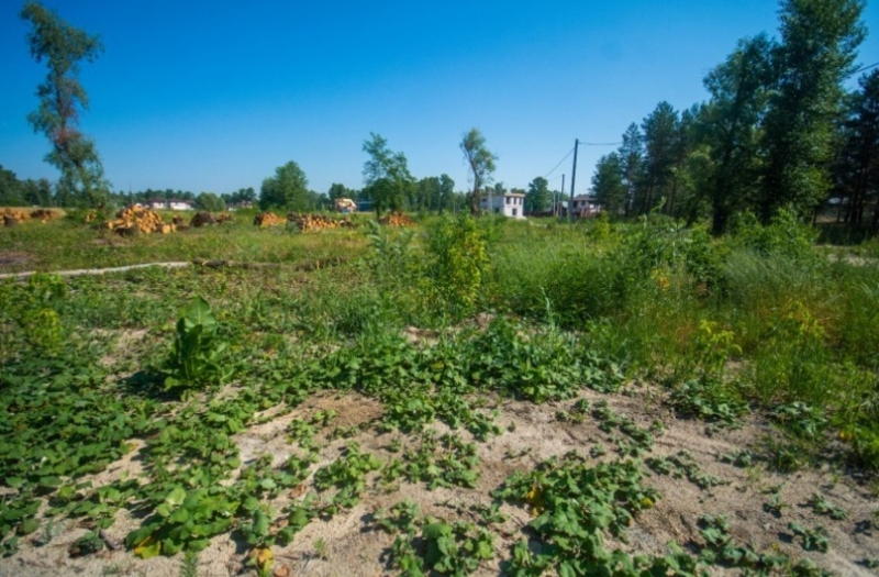 КГ «Синевир» Специальное предложение! - <ro>Изображение</ro><ru>Изображение</ru> #4, <ru>Объявление</ru> #1660078