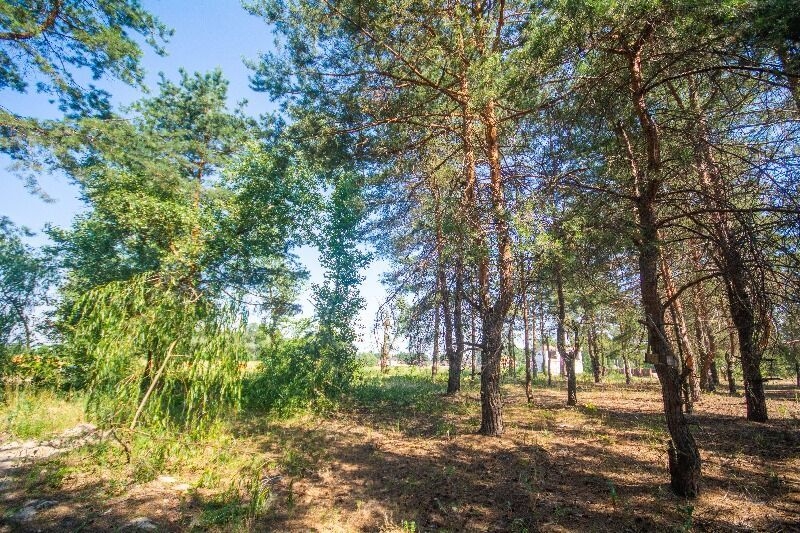 Отдел продаж КГ «Синевир» вашему вниманию предлагает уникальные участки - <ro>Изображение</ro><ru>Изображение</ru> #4, <ru>Объявление</ru> #1660028