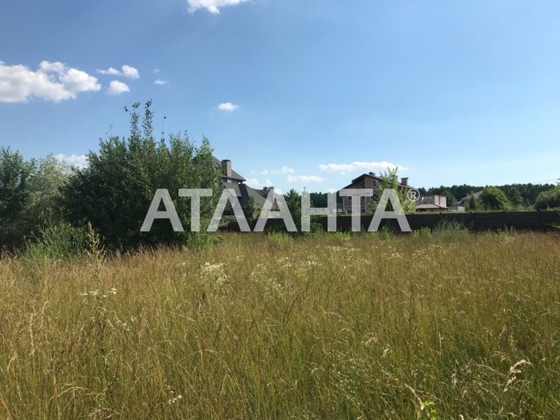 Продам земельный участок с. Ходосовка. - <ro>Изображение</ro><ru>Изображение</ru> #4, <ru>Объявление</ru> #1660377