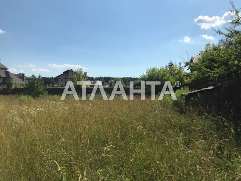 Продам земельный участок с. Ходосовка. - <ro>Изображение</ro><ru>Изображение</ru> #1, <ru>Объявление</ru> #1660377