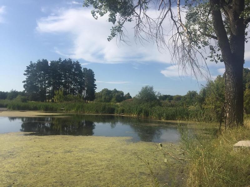 Макаровский р-н, Грузское, 20000 $ - участок под жилую застройку - <ro>Изображение</ro><ru>Изображение</ru> #3, <ru>Объявление</ru> #1665611