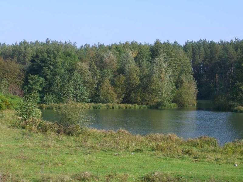 Продам участок под жилую застройку Макаровский, Грузское, 20000 $ - <ro>Изображение</ro><ru>Изображение</ru> #3, <ru>Объявление</ru> #1664591