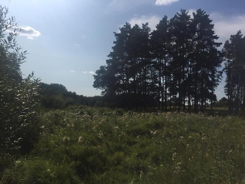 Продам участок под жилую застройку Макаровский, Грузское, 20000 $ - <ro>Изображение</ro><ru>Изображение</ru> #4, <ru>Объявление</ru> #1664591