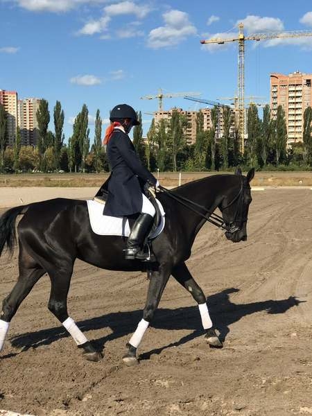 Конный фан-клуб "Водограй" уроки верховой езды - <ro>Изображение</ro><ru>Изображение</ru> #5, <ru>Объявление</ru> #1540056
