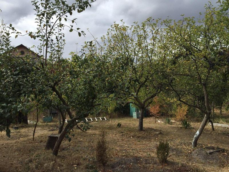 Продам Дачу в Николаевке 30 минут от м. Житомирская  - <ro>Изображение</ro><ru>Изображение</ru> #7, <ru>Объявление</ru> #1666267