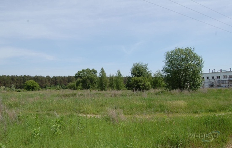 Недорого. Продажа-аренда участка с озером под разведение промысловой рыбы. - <ro>Изображение</ro><ru>Изображение</ru> #3, <ru>Объявление</ru> #1668894