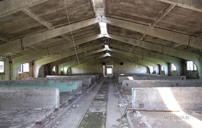 Недорого. с.Залесье, Броварской р-н, Технопарк, продажа склада 1456 кв.м - <ro>Изображение</ro><ru>Изображение</ru> #3, <ru>Объявление</ru> #1668912