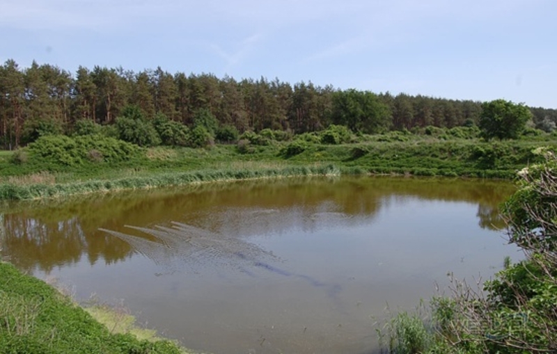 Недорого. Продажа-аренда участков. Под любой вид деятельности. Есть озеро  - <ro>Изображение</ro><ru>Изображение</ru> #3, <ru>Объявление</ru> #1668922