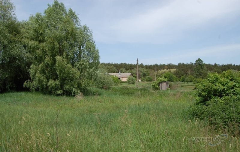 с. Залесье, Броварской р-н, Технопарк, земельный участок 62 сот. в собственности - <ro>Изображение</ro><ru>Изображение</ru> #3, <ru>Объявление</ru> #1668981