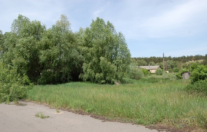 с. Залесье, Броварской р-н, Технопарк, земельный участок 62 сот. в собственности - <ro>Изображение</ro><ru>Изображение</ru> #4, <ru>Объявление</ru> #1668981