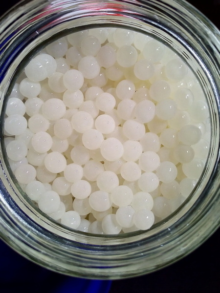 икра средиземноморской улитки - <ro>Изображение</ro><ru>Изображение</ru> #3, <ru>Объявление</ru> #1672244