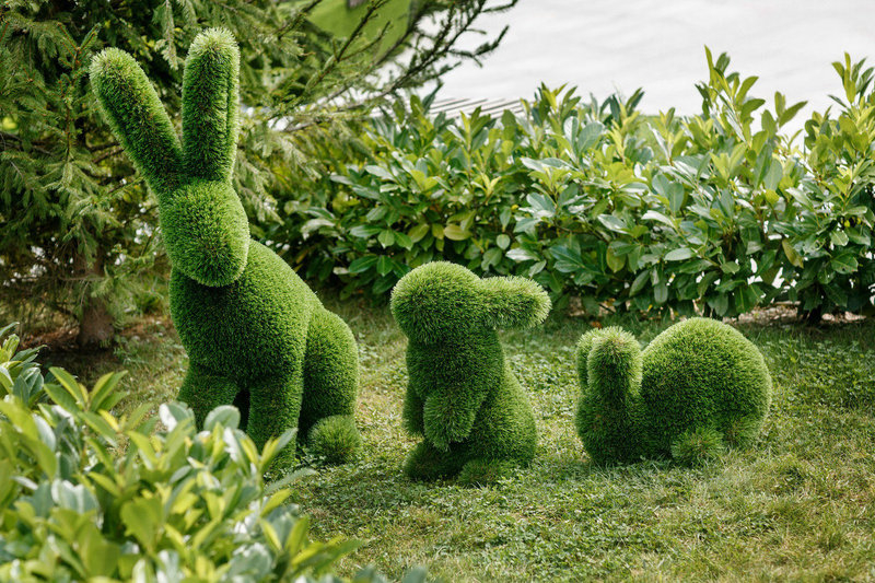 Изготовление и продажа скульптур топиарий по всей Украине. - <ro>Изображение</ro><ru>Изображение</ru> #1, <ru>Объявление</ru> #1671568