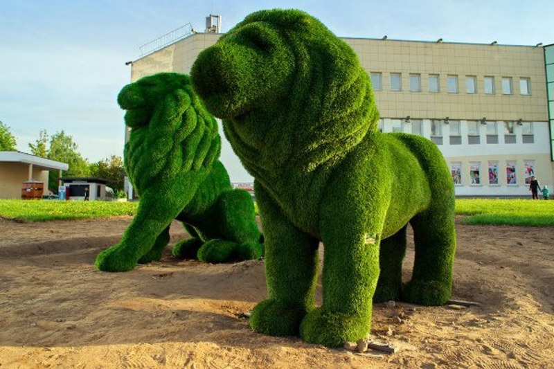 Изготовление и продажа скульптур топиарий по всей Украине. - <ro>Изображение</ro><ru>Изображение</ru> #2, <ru>Объявление</ru> #1671568