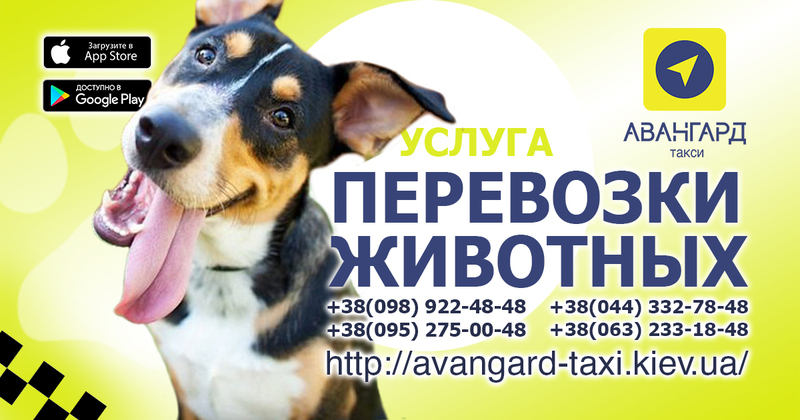 “Авангард”. Такси в Киеве - <ro>Изображение</ro><ru>Изображение</ru> #4, <ru>Объявление</ru> #1671378