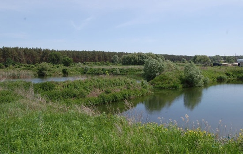 НЕДОРОГО. Аренда- продажа участков. Под любой вид деятельности. Есть озеро под р - <ro>Изображение</ro><ru>Изображение</ru> #3, <ru>Объявление</ru> #1675101