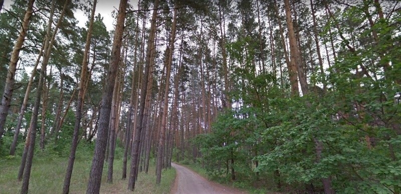 Конча-заспа (козин, украинка, романков), участок земля от 12 до 470 сот. - <ro>Изображение</ro><ru>Изображение</ru> #3, <ru>Объявление</ru> #1674176