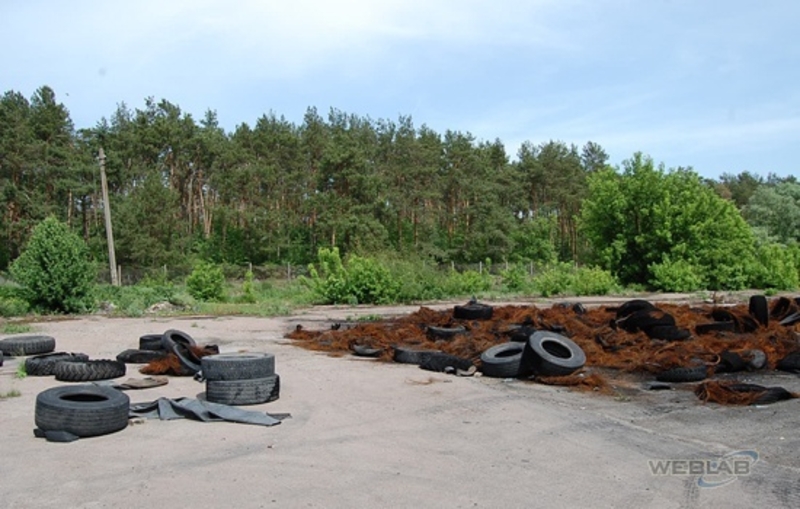 Продажа земельного участка 162,89 сот. в СОБСТВЕННОСТИ. с. Залесье,  - <ro>Изображение</ro><ru>Изображение</ru> #4, <ru>Объявление</ru> #1675017