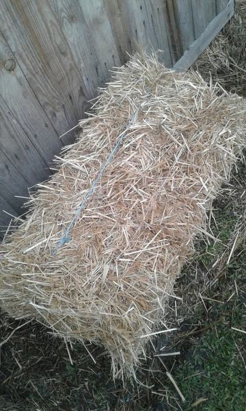 Солома просяна - <ro>Изображение</ro><ru>Изображение</ru> #1, <ru>Объявление</ru> #1673793