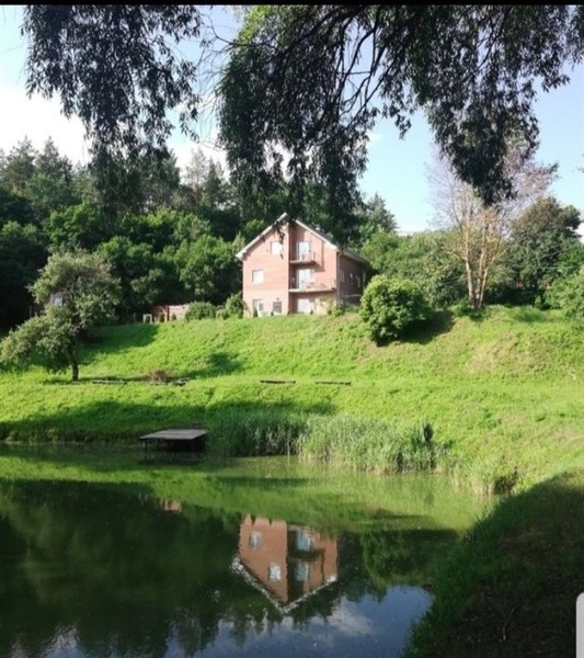 Продаётся Поместье и Тренинг-Центр с. Кипячка - <ro>Изображение</ro><ru>Изображение</ru> #5, <ru>Объявление</ru> #1676800