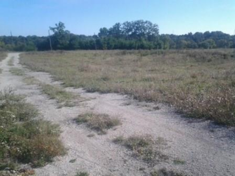 Продам ферму в аварийном состоянии + 2га - <ro>Изображение</ro><ru>Изображение</ru> #5, <ru>Объявление</ru> #1676821