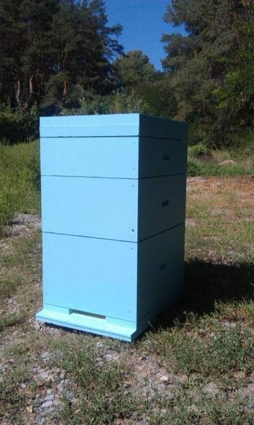 Улья многокорпусные (Дадан, Рута, Магазин) - <ro>Изображение</ro><ru>Изображение</ru> #1, <ru>Объявление</ru> #1678345