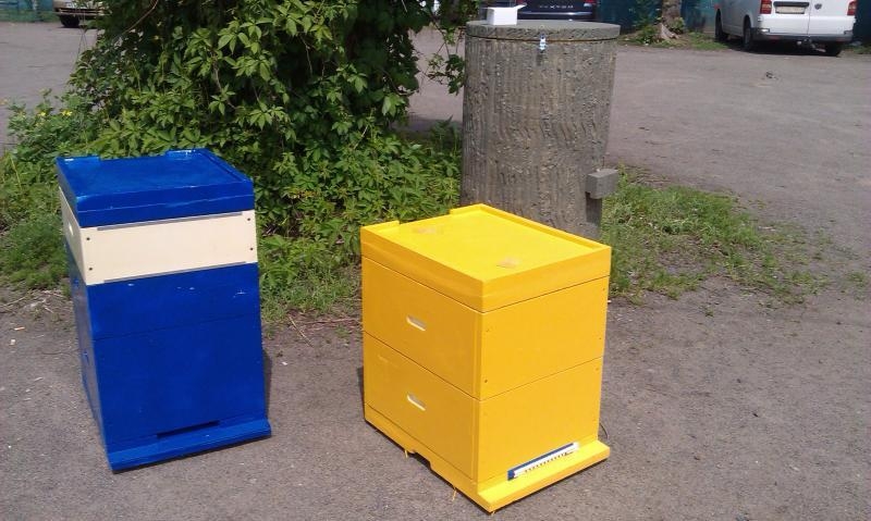 Улья многокорпусные (Дадан, Рута, Магазин) - <ro>Изображение</ro><ru>Изображение</ru> #2, <ru>Объявление</ru> #1678345