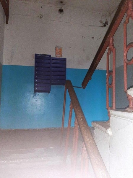 Продажа 3-х комнатной «сталинки» на ул. Просвещения! - <ro>Изображение</ro><ru>Изображение</ru> #5, <ru>Объявление</ru> #1682391