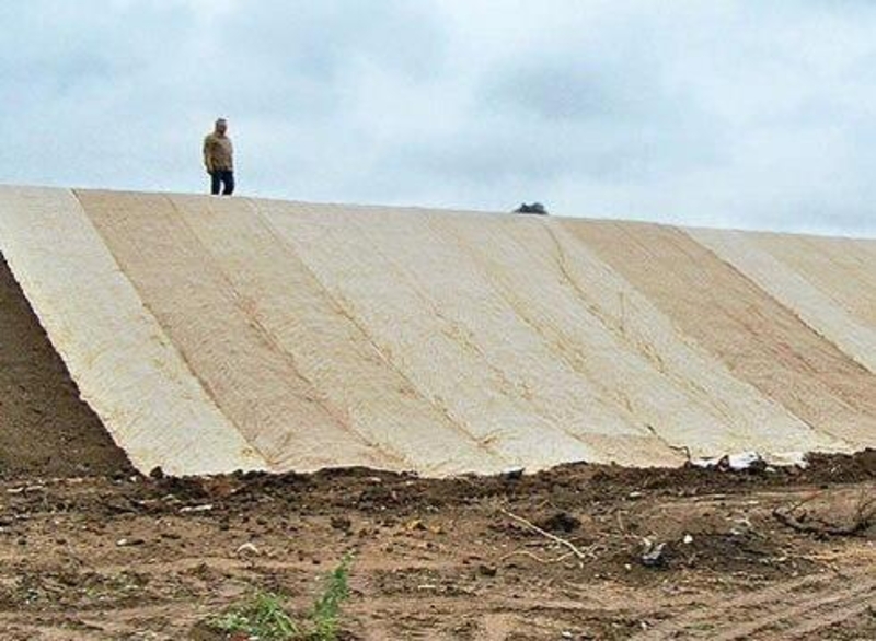 Рулонный газон, Новинка сухой газон по Голландской технологии - <ro>Изображение</ro><ru>Изображение</ru> #3, <ru>Объявление</ru> #1684633