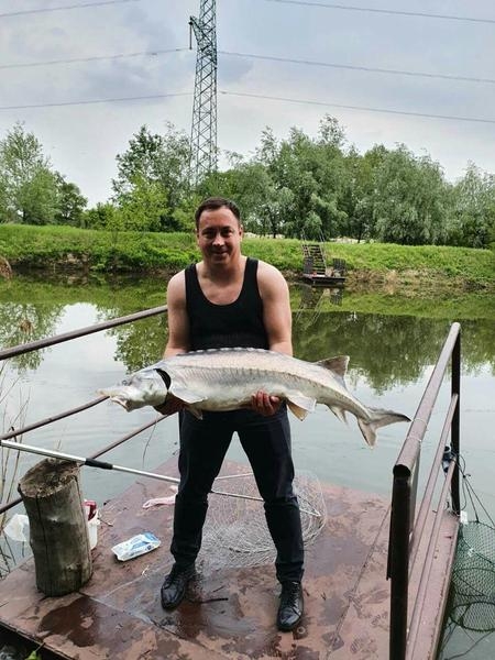 Незабываемый отдых в Киеве для всей семьи - <ro>Изображение</ro><ru>Изображение</ru> #3, <ru>Объявление</ru> #1684663