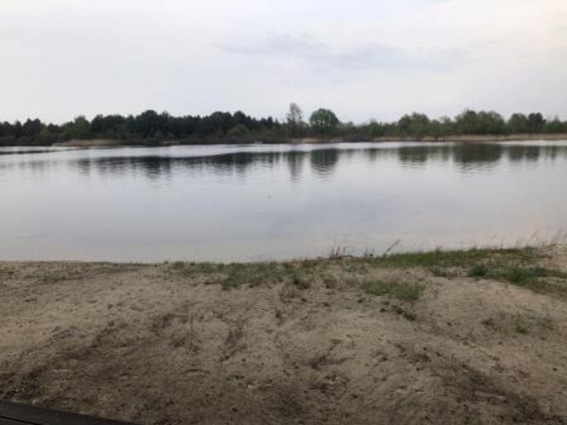 Аренда загородного коттеджа - <ro>Изображение</ro><ru>Изображение</ru> #2, <ru>Объявление</ru> #1685073