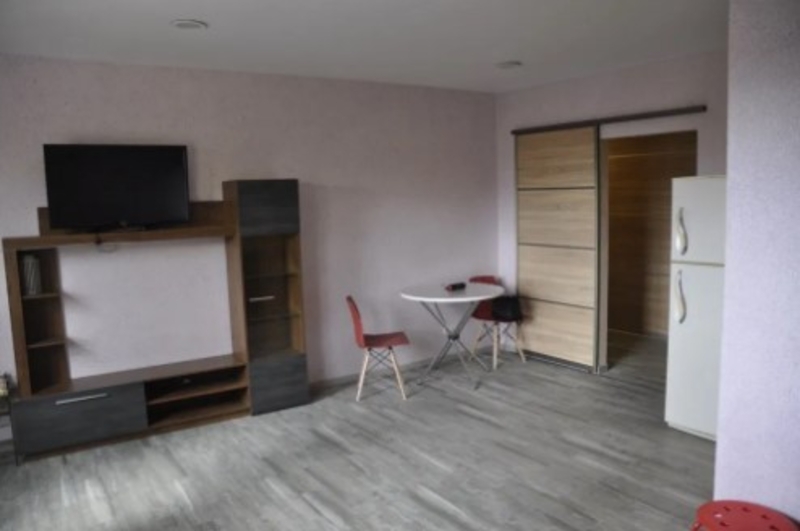 Аренда 1 комнатной квартиры, первая сдача, без комисии - <ro>Изображение</ro><ru>Изображение</ru> #8, <ru>Объявление</ru> #1685665