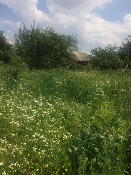 Продажа прекрасного участка Святопетровское - <ro>Изображение</ro><ru>Изображение</ru> #3, <ru>Объявление</ru> #1685485