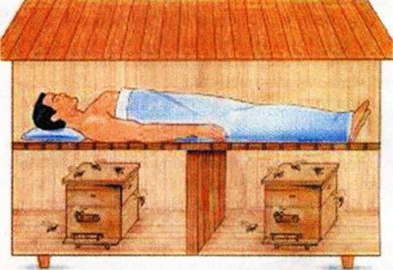 Сон на вуликах. Сон на ульях. Мед на заказ. Доставка в Киев - <ro>Изображение</ro><ru>Изображение</ru> #3, <ru>Объявление</ru> #1687376